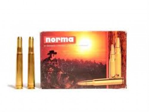 378 Wtby Mag Norma SP/300Gr 